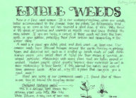 Edible Weeds