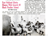 East Oakland Ghetto Blooms with Growth of Black Panther School